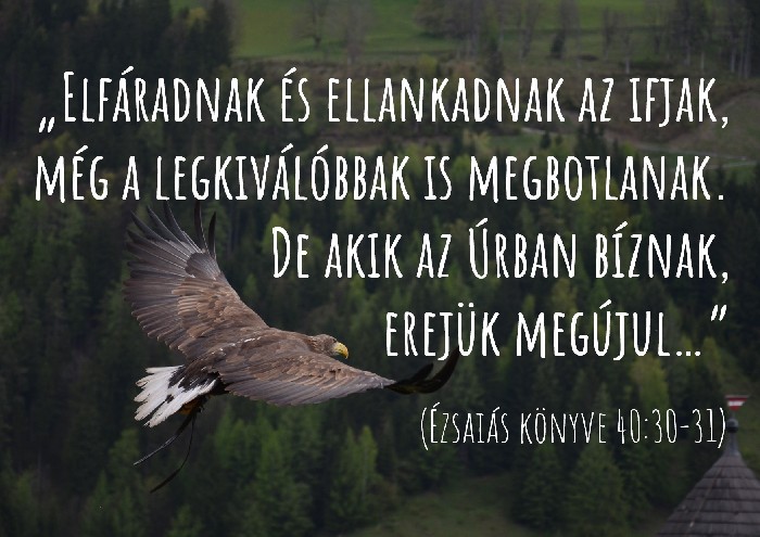 Natali Kelli erotik fotosuratlar Ayollarning tukli mushuk fotosuratlari